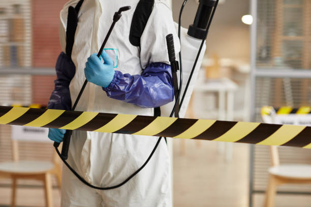 Professional Sewage Cleanup technician working in Kailua Kona, HI